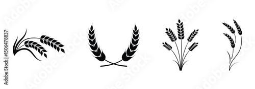 Wheat ears or rice icon. Wheat silhouette collection. Ear of wheat symbols. Vector illustration isolated on white background.