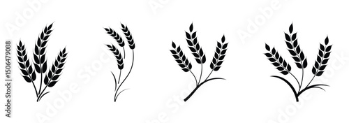 Farm wheat ears icon set. Durum wheat pasta label. Bakery logo. Organic wheat grain icon. Stylized black icons of wheat for print, product packaging, and agricultural business branding.