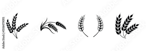 Farm wheat ears icon set. Durum wheat pasta label. Bakery logo. Organic wheat grain icon. Stylized black icons of wheat for print, product packaging, and agricultural business branding.