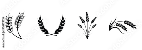 Farm wheat ears icon set. Durum wheat pasta label. Bakery logo. Organic wheat grain icon. Stylized black icons of wheat for print, product packaging, and agricultural business branding.