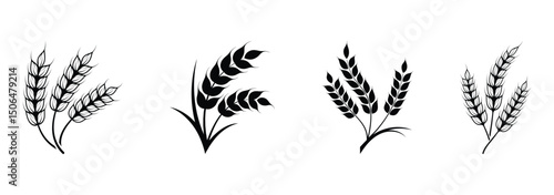 Farm wheat ears icon set. Durum wheat pasta label. Bakery logo. Organic wheat grain icon. Stylized black icons of wheat for print, product packaging, and agricultural business branding.