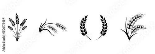 Ear of Wheat, Barley or Rye. Black Vector Icons of Wheat Stems. Farm Wheat Ears Icon Set. Vector Illustration on White Background. EPS 10