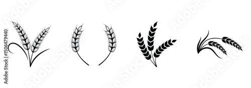 Ear of Wheat, Barley or Rye. Black Vector Icons of Wheat Stems. Farm Wheat Ears Icon Set. Vector Illustration on White Background. EPS 10