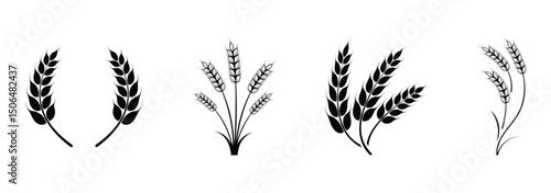 Wheat ear icons set vector silhouettes. Black wheat spikelet vector collection. Set of wheat stalk. Cereal plant silhouettes. Wheat silhouettes. Wheat vector icons. Design eps 10