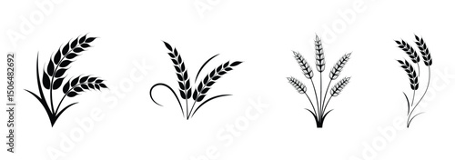 Wheat icon set. Collection of black wheat ear silhouettes, ideal for agriculture logos, organic product labels, and rural themed designs. Vector illustration. EPS 10