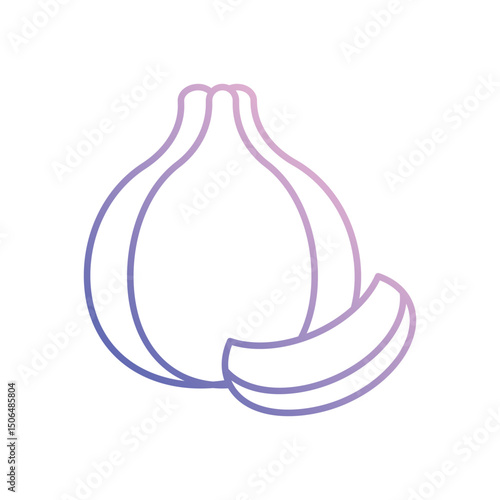 Garlic  Vector icon
