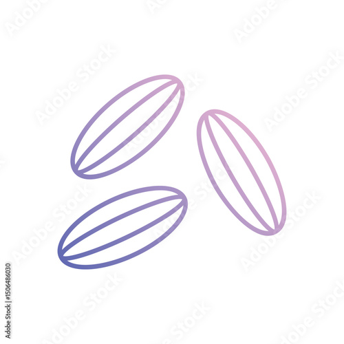 Cumin  Vector icon