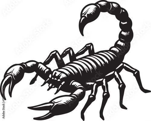 Detailed Black and White Illustration of a Scorpion