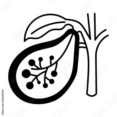 A drawing style icon of gallbladder
