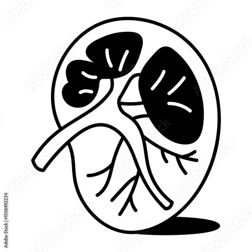 A hand drawn style icon of kidney
