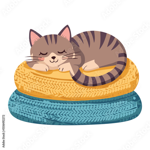 sleep cat on a blanket