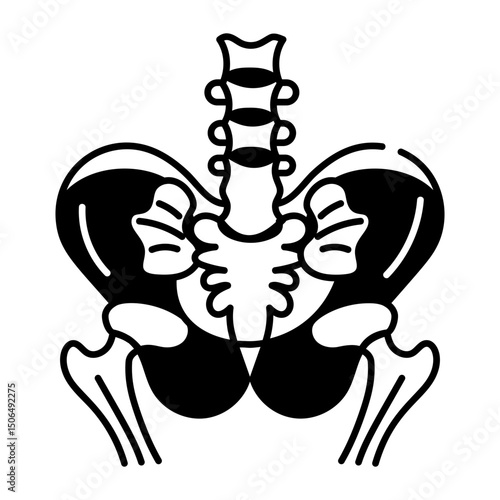 A drawing style icon of pelvic bones
