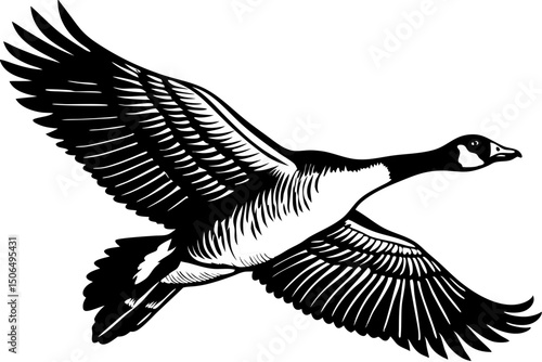 Majestic Canada Goose in Flight A Black and White Illustration, canada, goose, bird, flight, graceful, powerful, aesthetic, wings, majestic, picture, monochrome, ink, feathers, good, stunning, clip, s