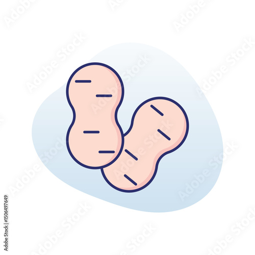 Peanuts  Vector icon