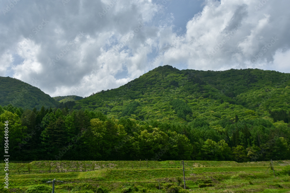 春の信州の絶景 緑が生い茂る山々 春の信州の絶景 緑が生い茂る山々