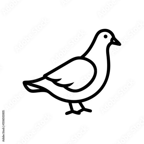 pigeon icon