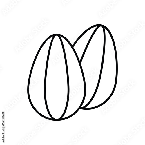 Almond  Vector icon