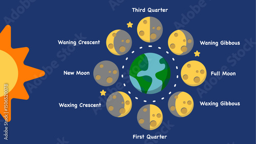 Phases of the moon chart, lunar cycle vector illustration	