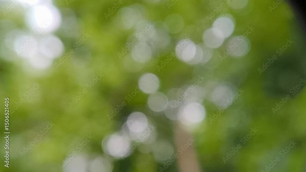 Abstract bright glowing green bokeh blurred  background