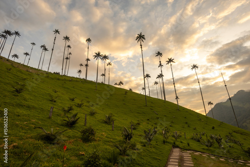 sunset in the mountains