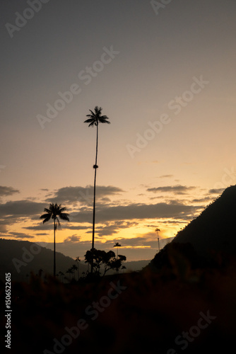 sunset in the mountains
