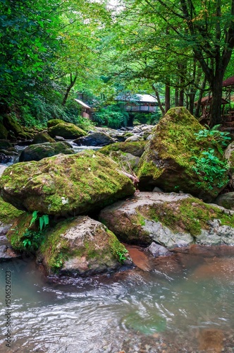 A serene river meanders through a vibrant forest, adorned with moss-covered rocks and a distant footbridge.
