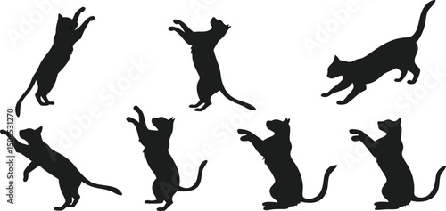feline silhouette set domestic cat breeds black shadows animal pets vector graphics design
