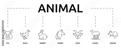Animals Banner with icon and keywords