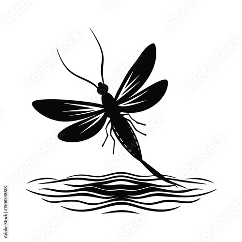 Mayfly Emerging Water Vector Silhouette