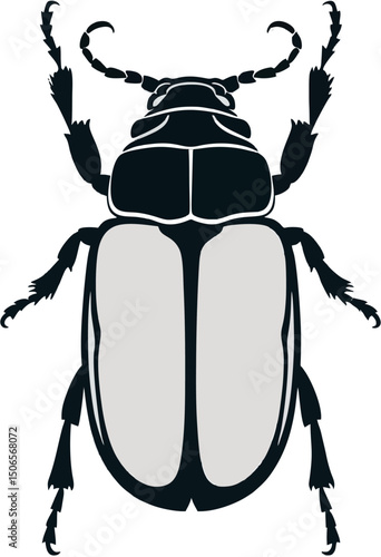 Beetle barbel icon vector illustration