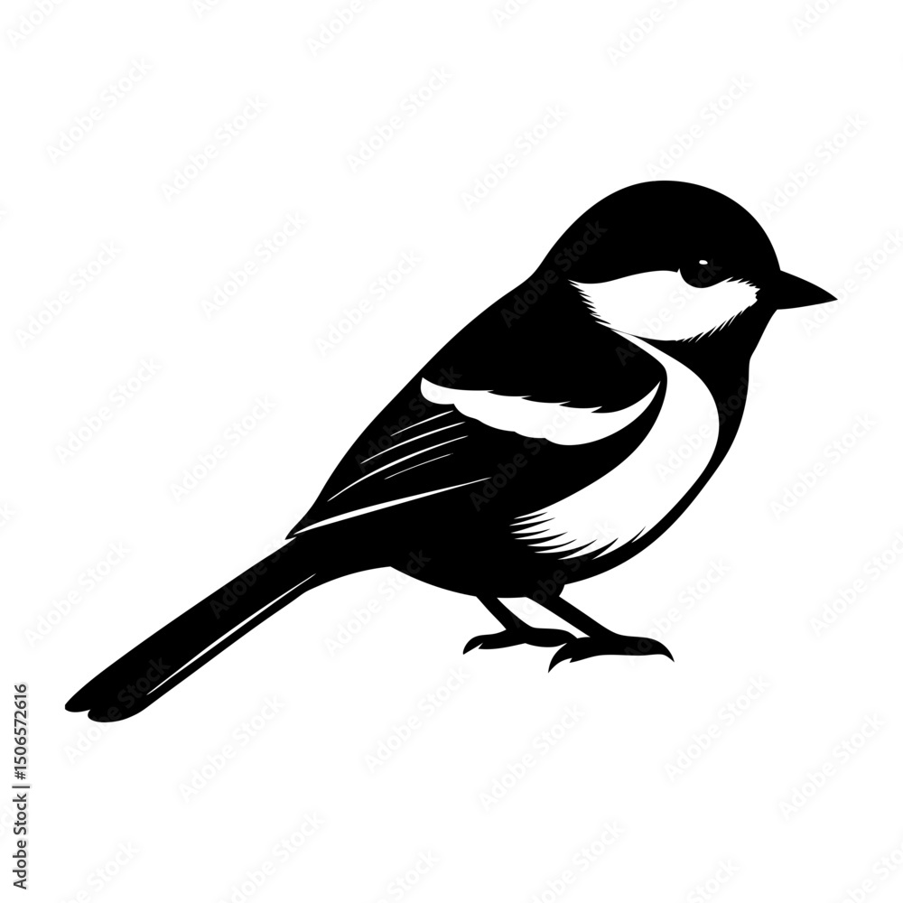 Obraz premium Illustration of a small bird with black and white plumage design