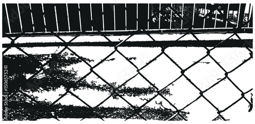 Barbwire isolated silhouette, Fence wire mesh barbed wire , barbed wire fence on the border