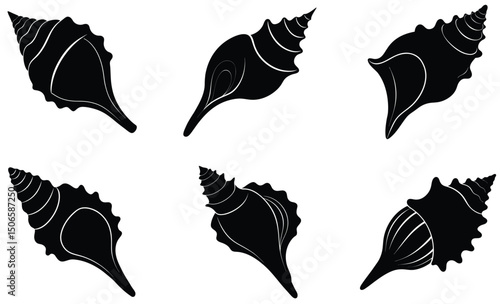 Triton’s Trumpet Conch Shell Silhouette Vector Set – Large Sea Shell Illustration, Oceanic Marine Life Art, Coastal Wildlife Decor, and Tropical Beach Design Elements