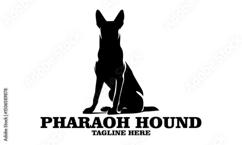 Pharaoh hound icon. Pharaoh hound vector illustration, pharaoh hound logo design and noble desert heritage