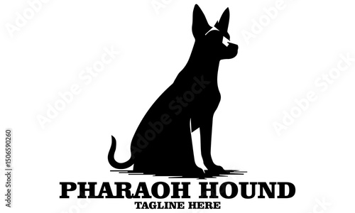 Pharaoh hound icon. Pharaoh hound vector illustration, pharaoh hound logo design and noble desert heritage
