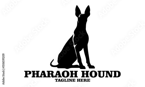 Pharaoh hound icon. Pharaoh hound vector illustration, pharaoh hound logo design and noble desert heritage