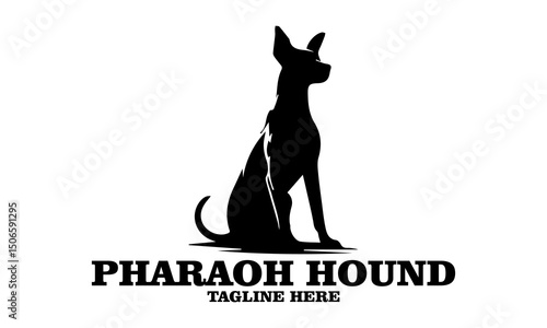 Pharaoh hound icon. Pharaoh hound vector illustration, pharaoh hound logo design and noble desert heritage
