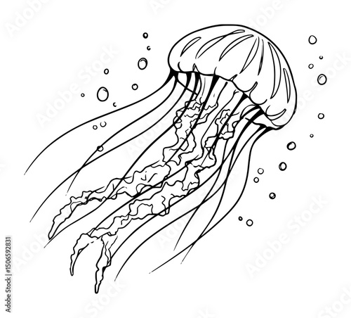 jellyfish floating underwater line drawing