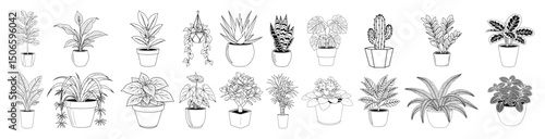 hand drawn indoor potted plants – botanical houseplant vector set