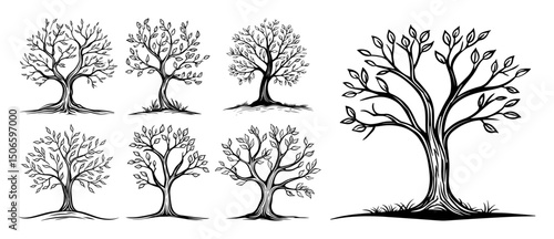 set of stylized trees – hand drawn decorative tree vector