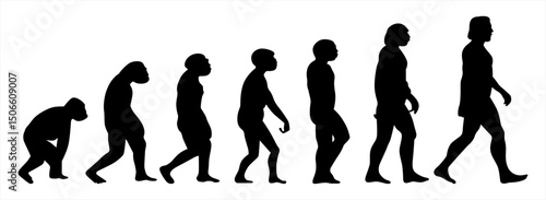 Evolution silhouette vector of human stages walking simple art in black colour. Monkey to man steps.