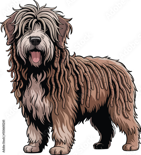 Cute Bergamasco Shepherd Dog Vector
