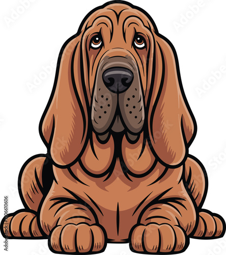 Cute Bloodhound Dog Vector