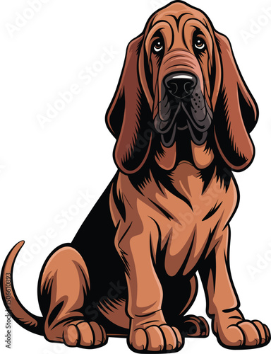 Cute Bloodhound Dog Vector
