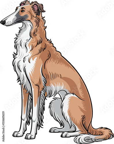 Cute Borzoi Dog Vector