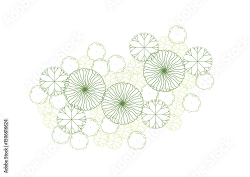 architecture drawing plant tree top view plan greenery vegetation vector. design nature architectural landscape set element illustration bush garden flora sapling minimal. architect isolated.