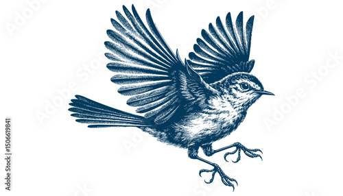Acadian Flycatcher bird vector
