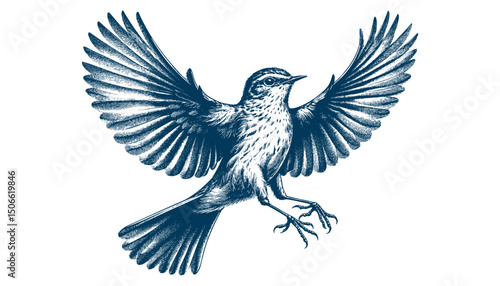 Acadian Flycatcher bird vector