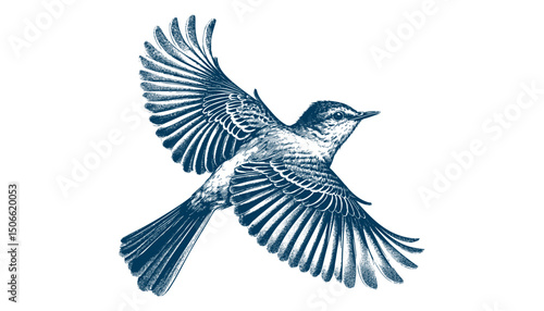 Acadian Flycatcher bird vector