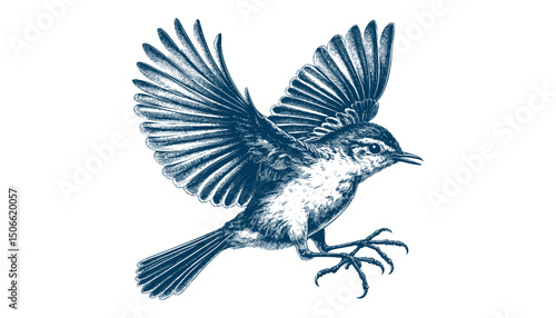 Acadian Flycatcher bird vector